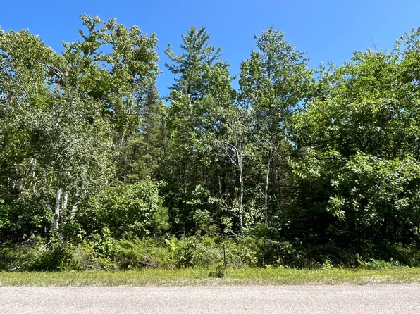 LOT 268 Pineview Dr, Presque Isle, MI 49777