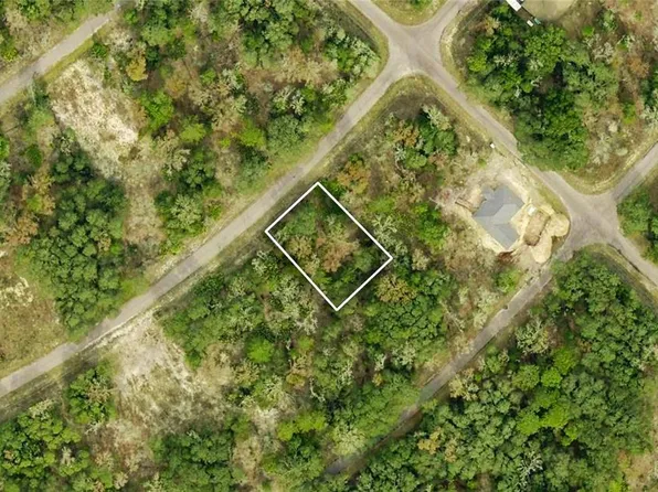Guava Place Dr Lot 3, Ocklawaha, FL 32179