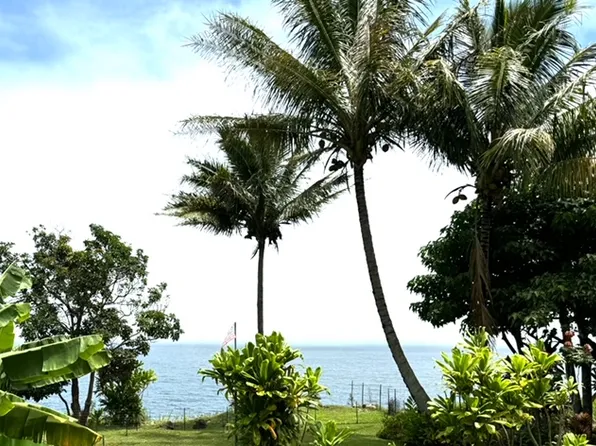 36-2624 Old Mamalahoa Hwy #B, Ookala, HI 96774