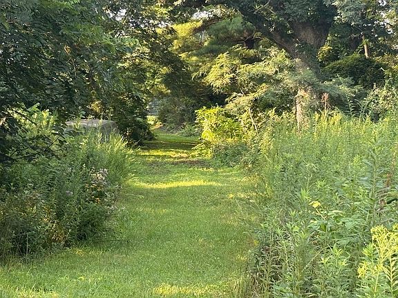 3rd image of 0 E Williamson Ln