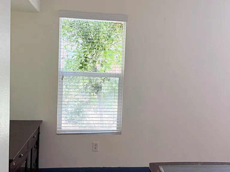 Family/living Room
