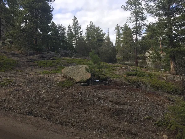 61 Country Sky Ln, Estes Park, CO 80517