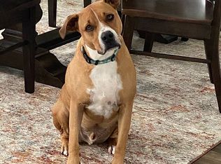 5 Songbird Dr, Rosharon, TX 77583