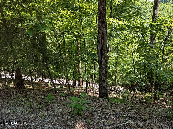 4th image of 306 Hickory Knoll Cir