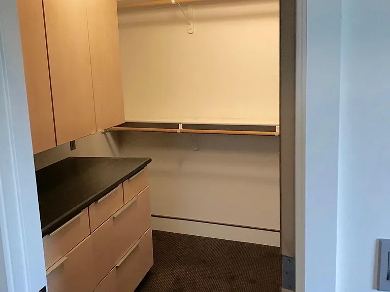 Master closet with built-ins