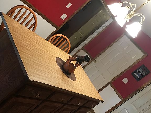 Newly remodeled kitchen 