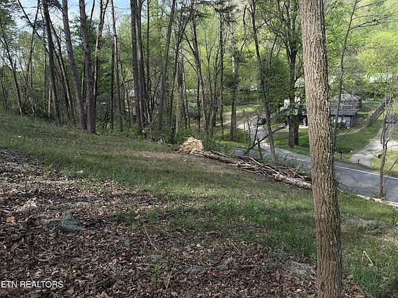 2nd image of 11044 Loop Rd