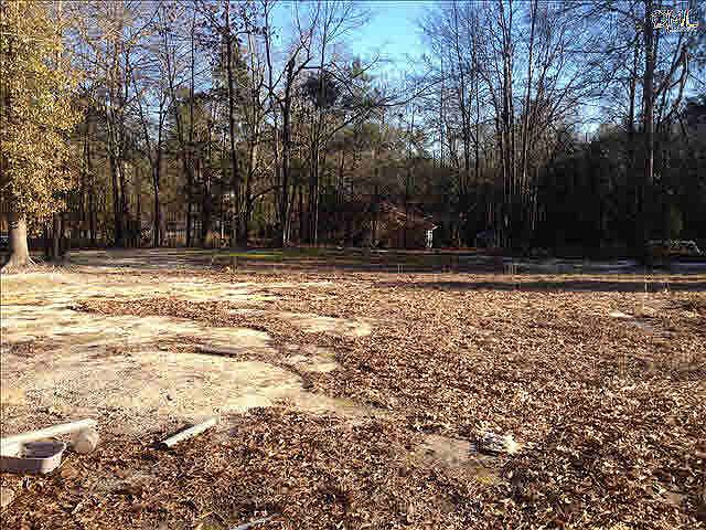 1st image of 502 Swansea Heights Ave