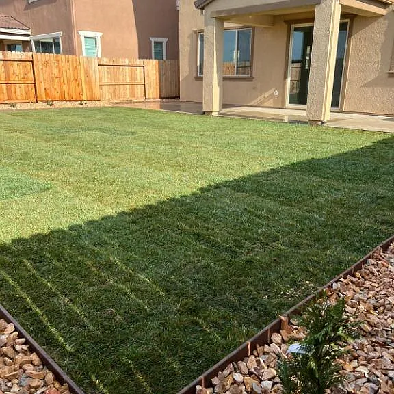 10412 Cello Way — Photo 12