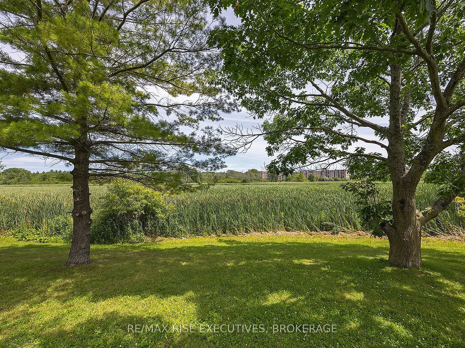 2 bed, $1,900 — Photo 4