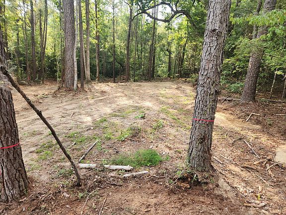 4th image of Persimmon Rd