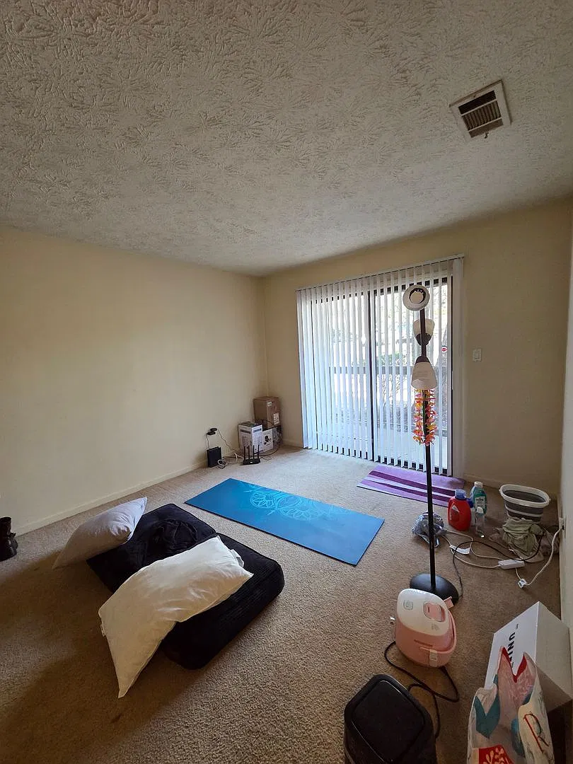 Campus View Apt-Walking Distance to UGA! — Photo 4