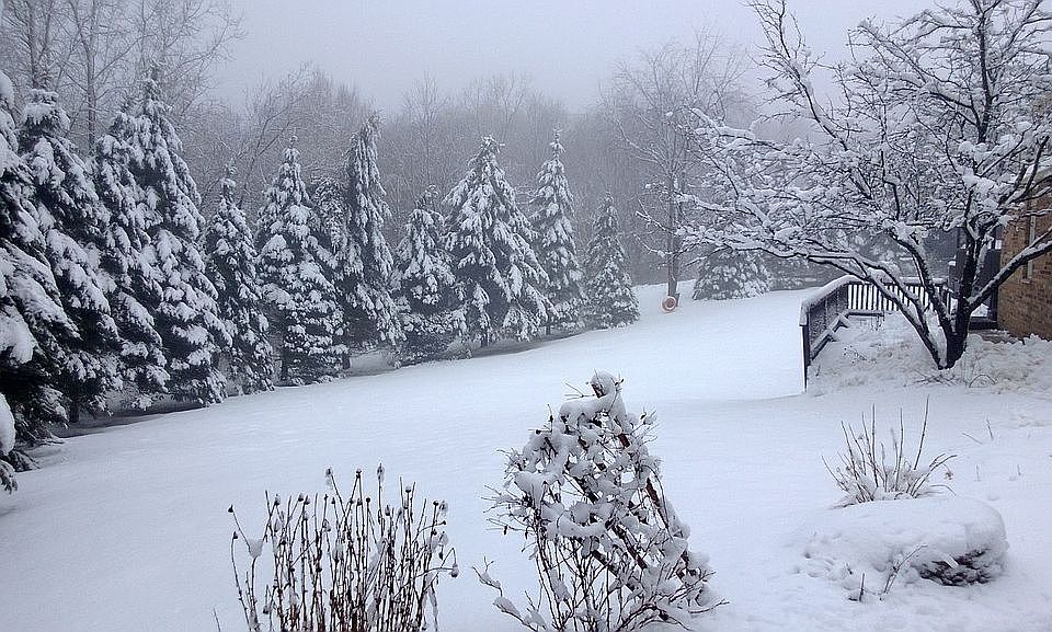 Front Yard February 2013