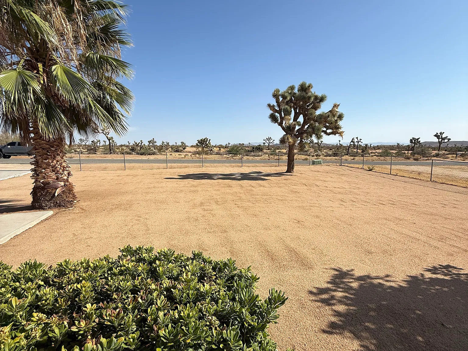 4 bed, 1458 sqft, $2,699 — Photo 3
