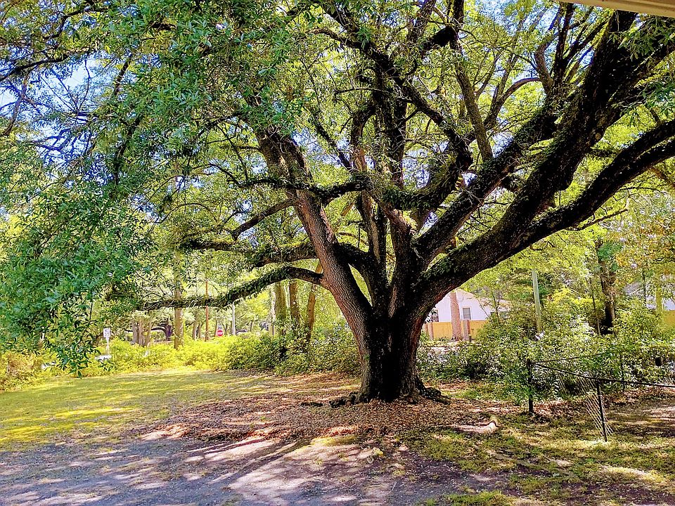 2nd image of 100 Old Country Club Rd