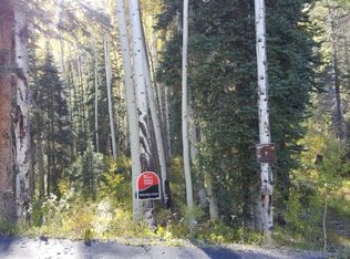 88 Engineer Dr, Durango, CO 81301