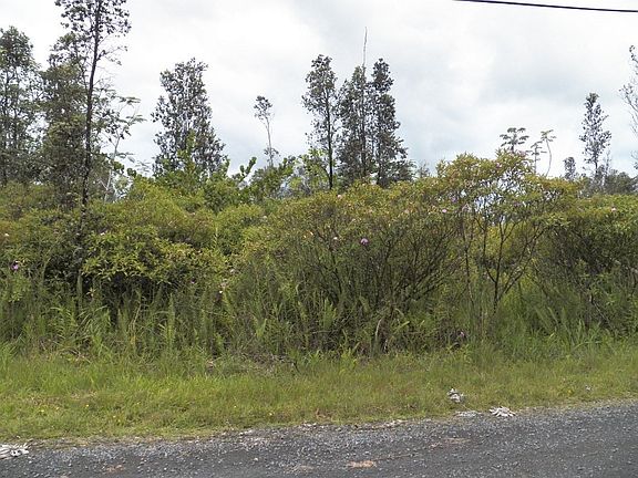 5th image of 11th Avenue Kika Lot 1454