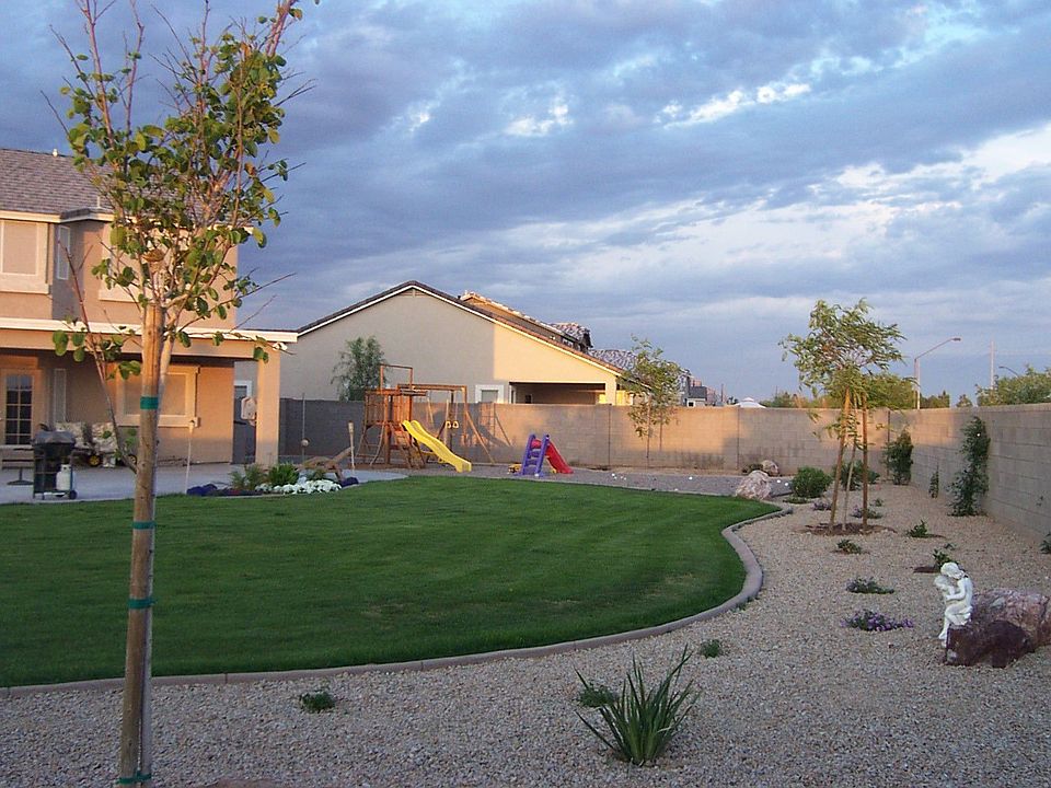 Back yard