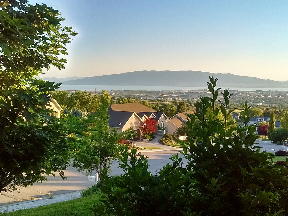 View from Front Porch