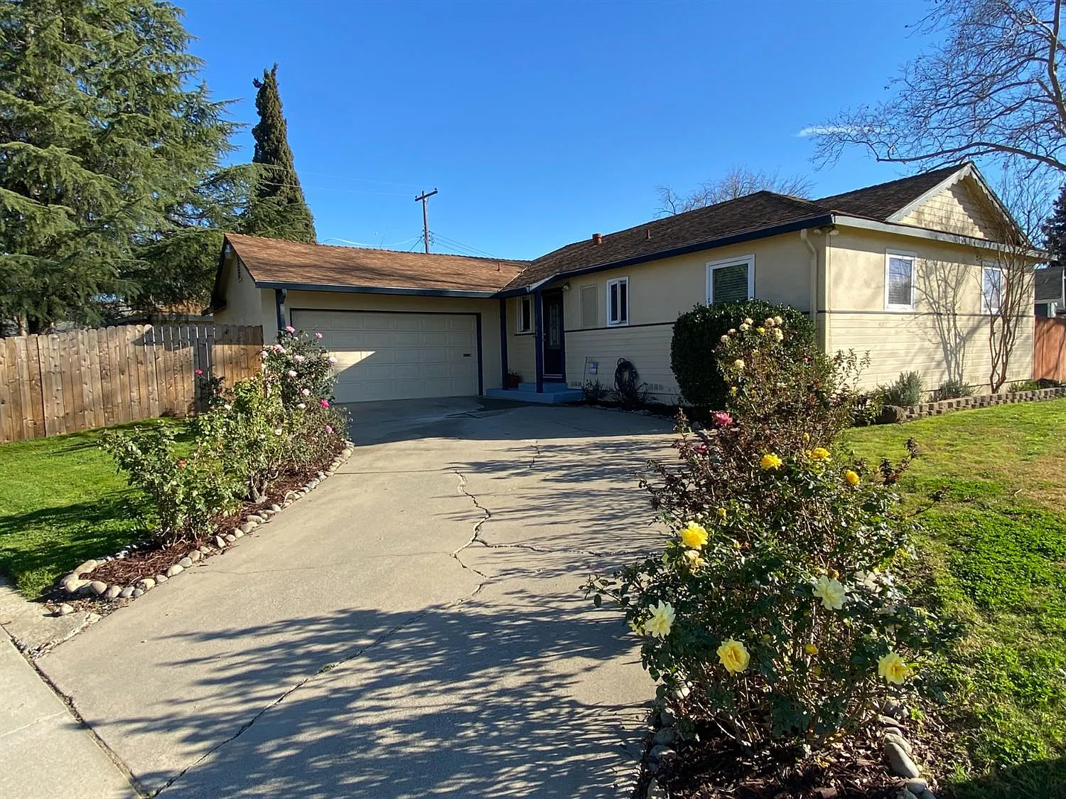 3701 Wildrose Way photo 1