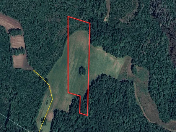 Tbd Pocosin Road, Council, NC 28434