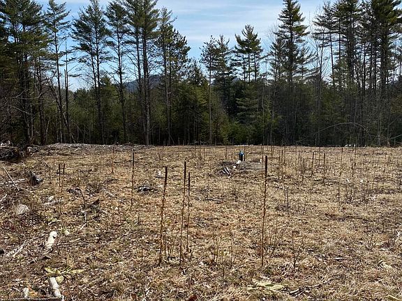 2nd image of 530 Fox Run Rd