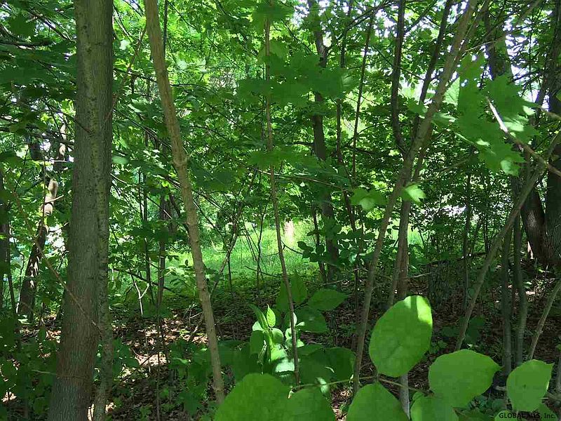 3rd image of MARIAVILLE Road