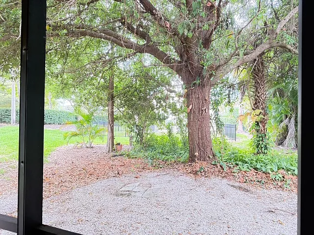 Backyard view from screened in lanai