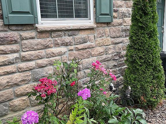 Front yard