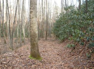 0 Tunnel Mountain Rd, Sylva, NC 28779