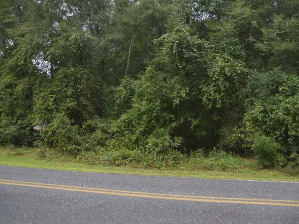 262 SW Timberland Ct, Lake City, FL 32024