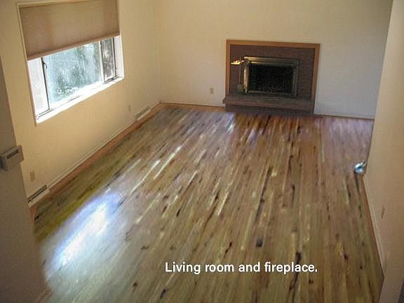 Living room and fireplace.