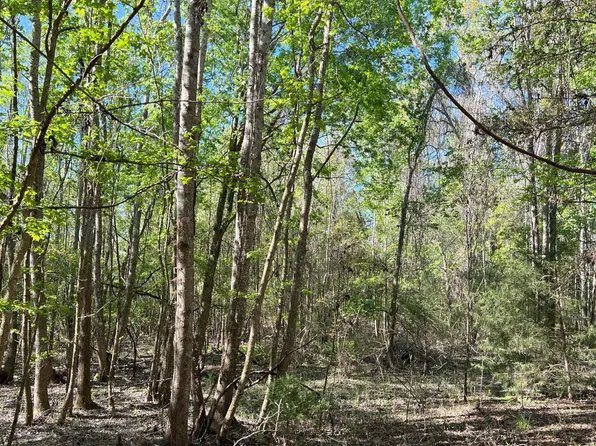 SW Drew Feagle Ave, Fort White, FL 32038