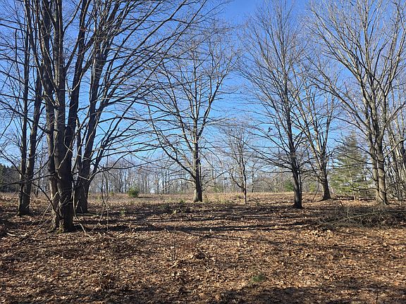 2nd image of 2 Mile Rd