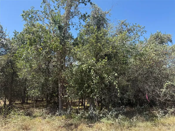 Kawainui Ln, Bastrop, TX 78602
