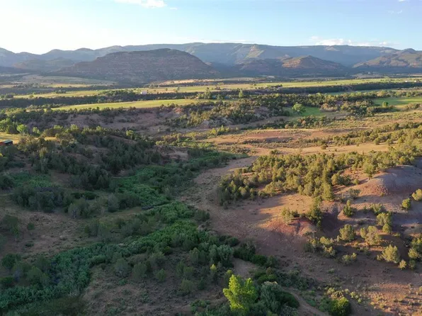 15590 Red Mountain Lane, Collbran, CO 81624