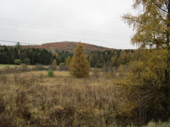 0 Reservoir Road, Orange, VT 05641
