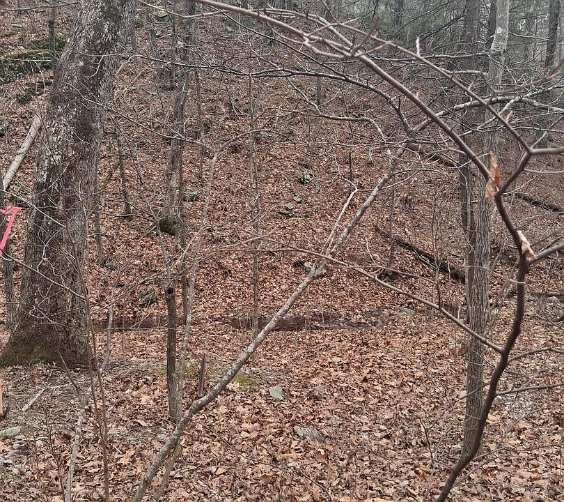 1st image of Vesey Dr