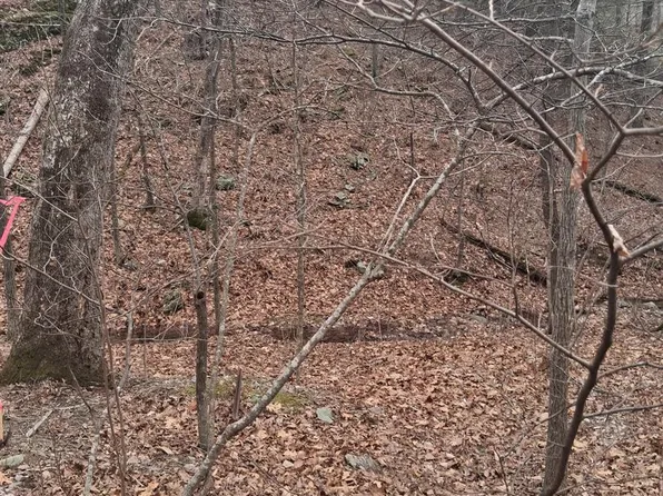 Vesey Dr, Front Royal, VA 22630