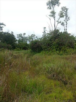 1st image of 40th St Lot 8