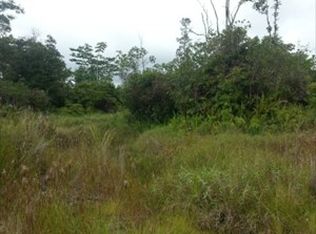 40th St LOT 8, Kurtistown, HI 96760