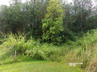 Hawaii St LOT 1, Mountain View, HI 96771