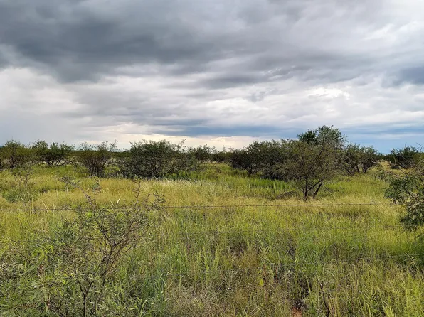 TBD E E Calle Tejas Lot 014C -- #014C, Hereford, AZ 85615