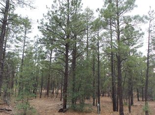 140 Silk Tassel Rd, Show Low, AZ 85901