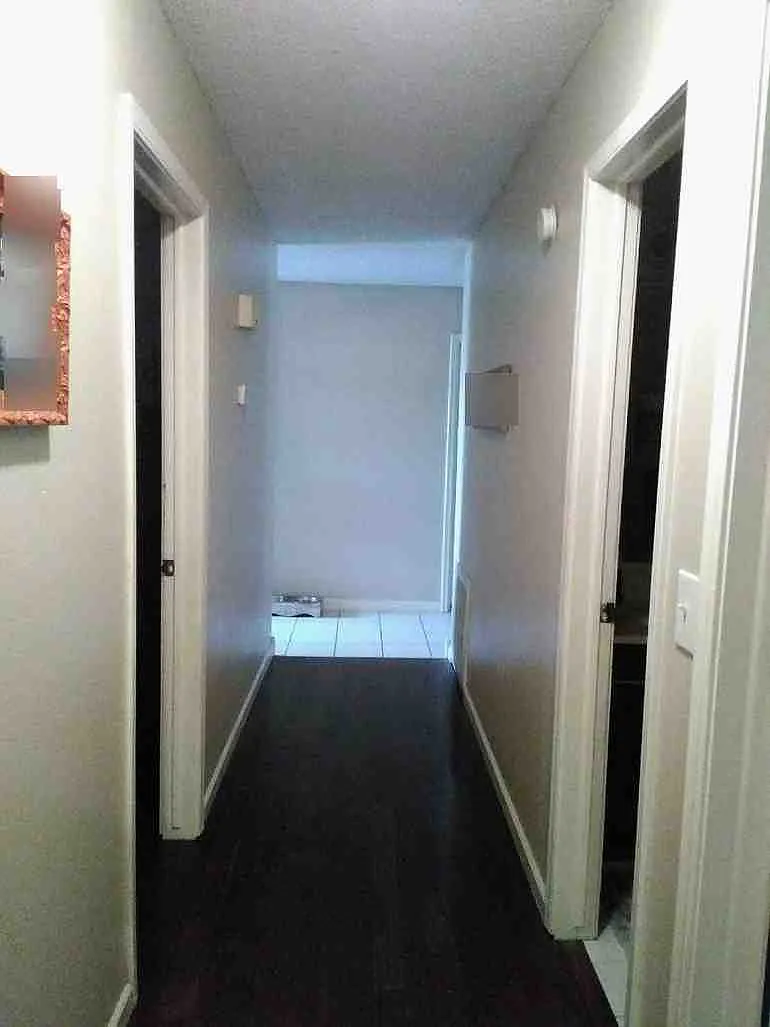 3 bed, 1.5 bath, 1263 sqft, $2,000 — Photo 3