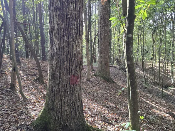 1404 Causey Rd SE, Meadville, MS 39653