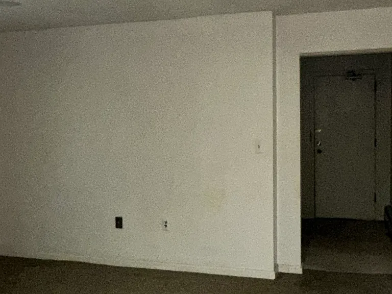 24 Franklin Pl #B — Photo 21