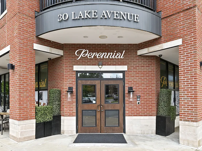 Perennial — Photo 20