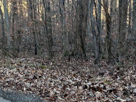 3rd image of Braden Chapel Rd