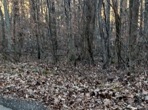 Braden Chapel Rd, Speedwell, TN 37870